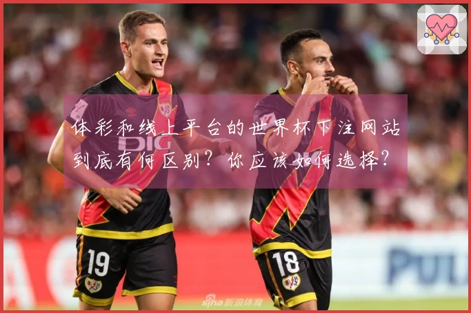 体彩和线上平台的世界杯下注网站到底有何区别？你应该如何选择？